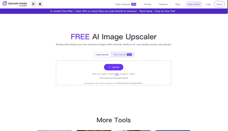 AI Image Upscaler - Enlarge & Enhance Your Photos for Free - Upscale.media