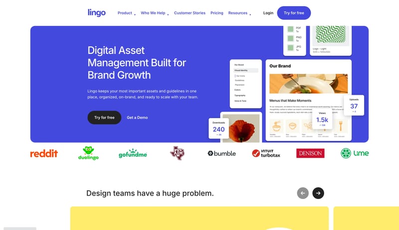 Digital Asset Management Software for Growing Brands | Lingo