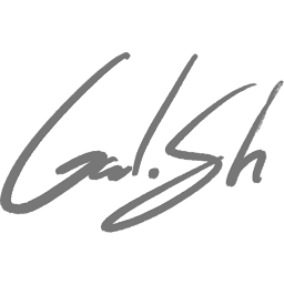 Gal Shir | Visual Identity Design icon